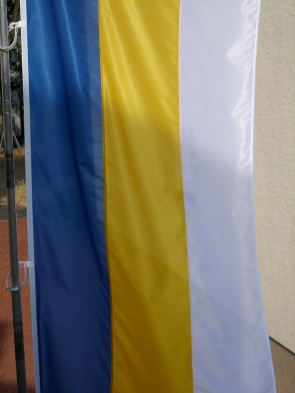 Hissfahne Fahne Flagge Hochformat Groesse 150/400 blau-gelb-weiß