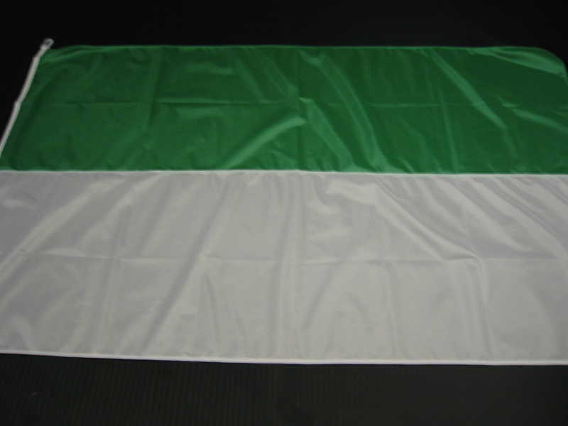 Hissfahne Fahne Flagge Groesse 150/250 grün-weiß