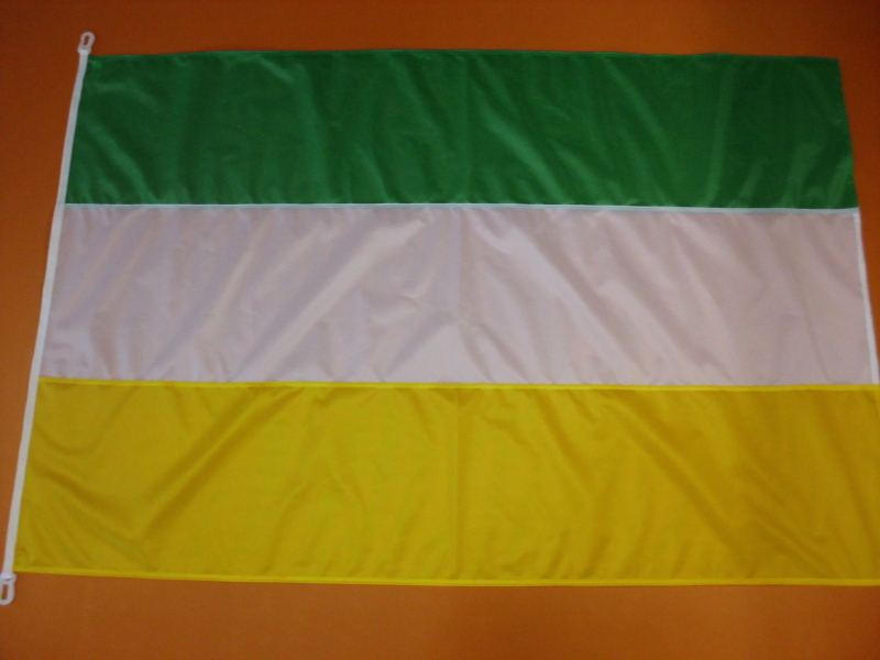 Hissfahne Fahne Flagge Groesse 100/150 grün-weiß-gelb