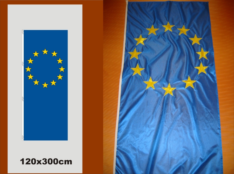 Hissfahne Fahne Flagge Hochformat Groesse 120/300 Europa