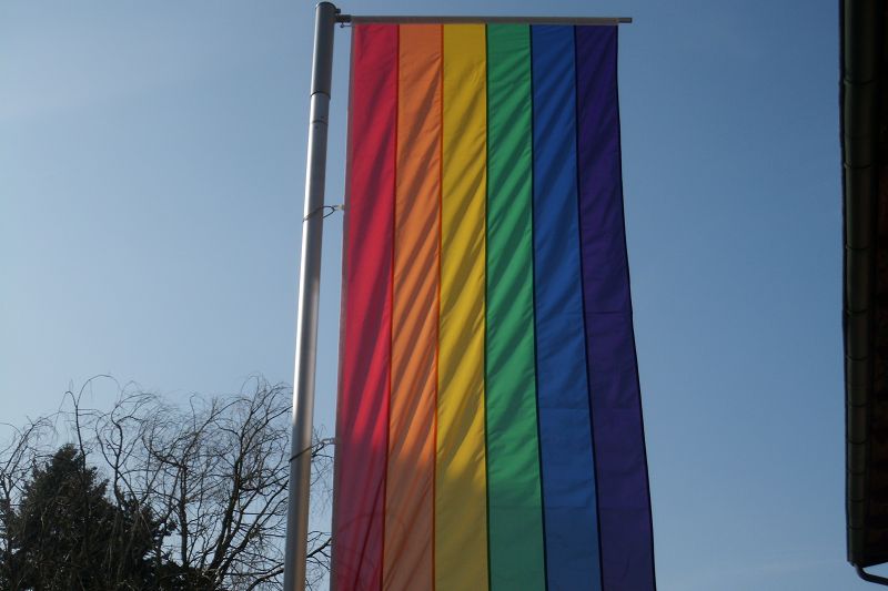 Hissfahne Fahne Flagge Hochformat Groesse 120/300 Karnevalsfarben 