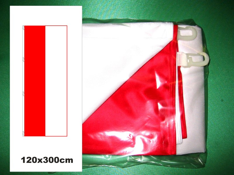 Hissfahne Fahne Flagge Hochformat Groesse 120/300 rot-weiß 